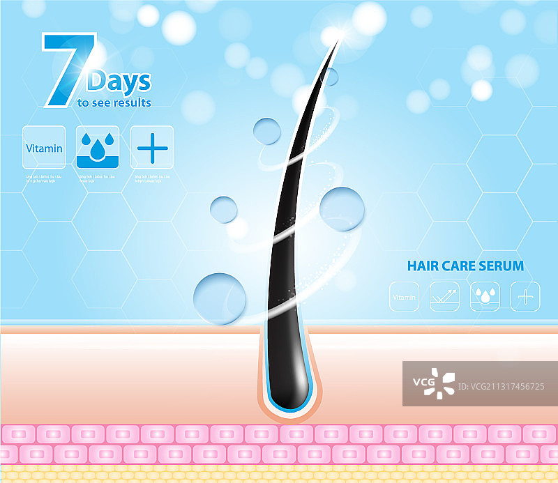 护发精华液毛囊诊断皮肤解剖图片素材