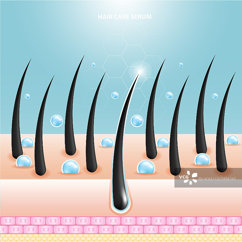 护发精华液毛囊诊断皮肤解剖图片素材