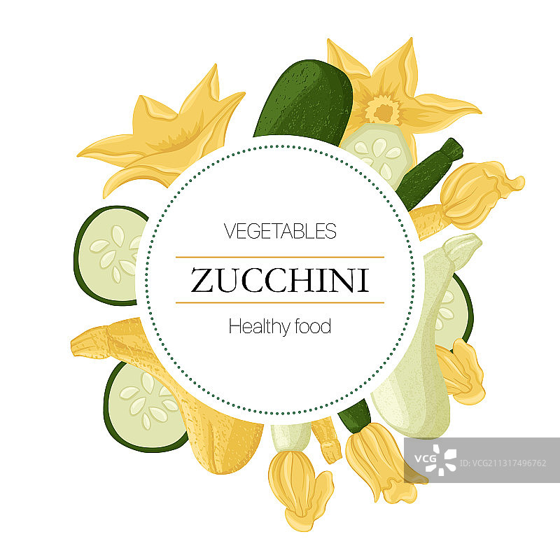 西葫芦和西葫芦花环图片素材