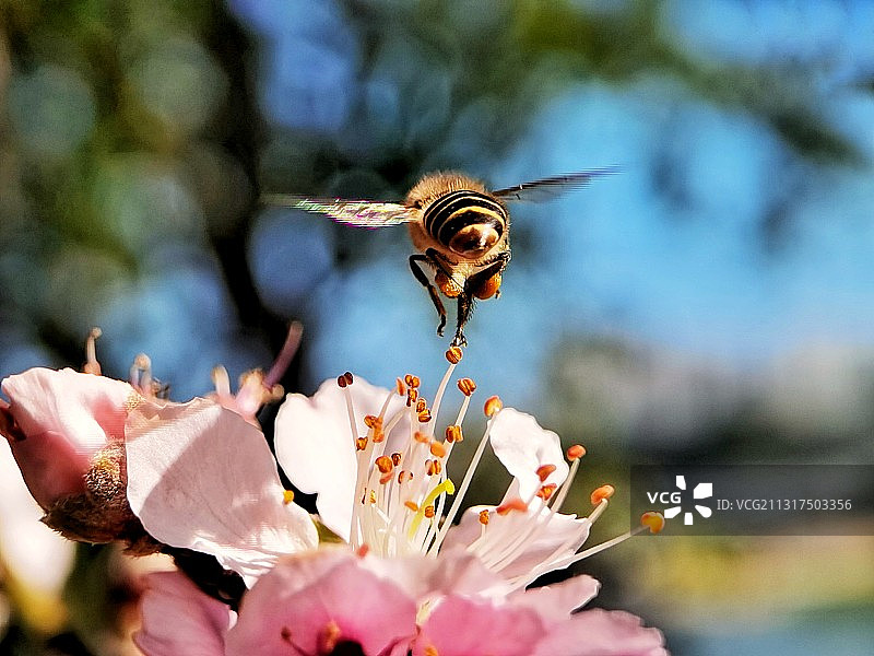 携弹巡航图片素材