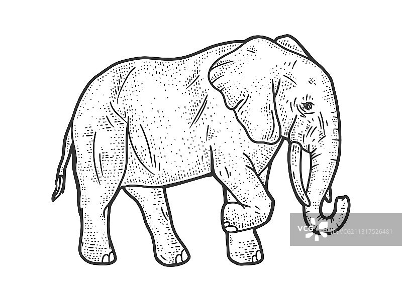 大象素描图片素材