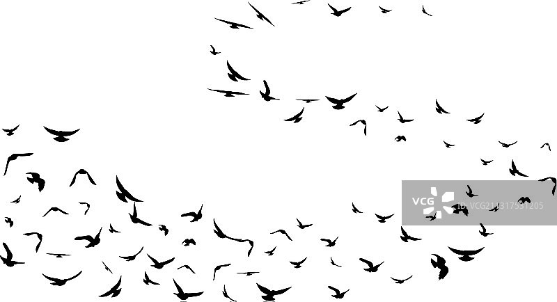 飞鸟装饰元素图片素材