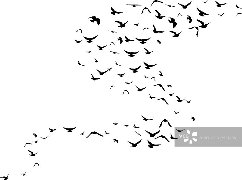 飞鸟装饰元素图片素材