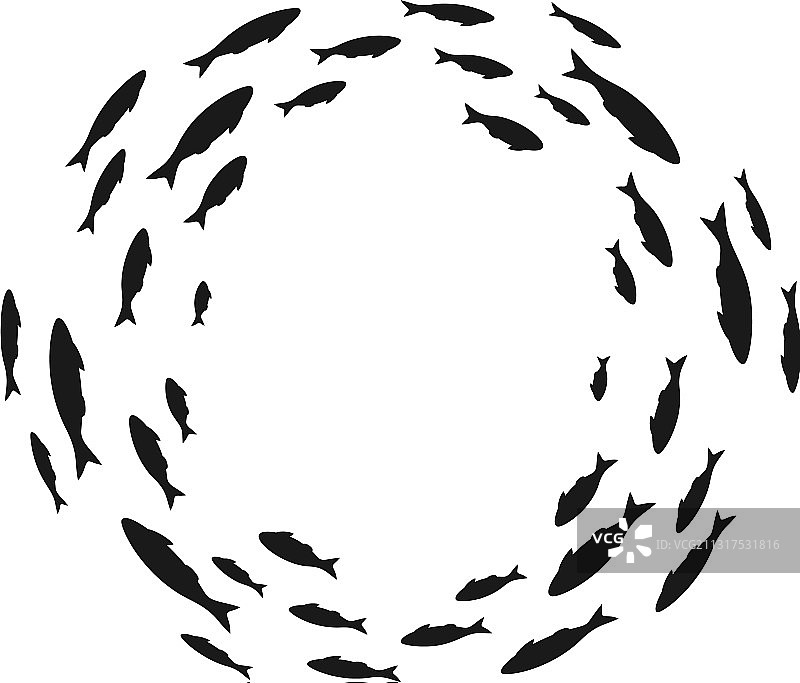 群游海洋或水族馆鱼群图片素材