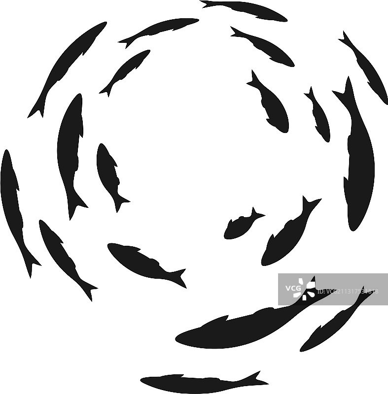 群游海洋或水族馆鱼群图片素材