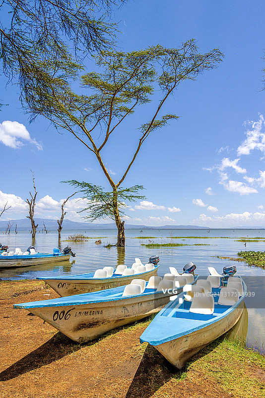 肯尼亚奈瓦沙湖图片素材