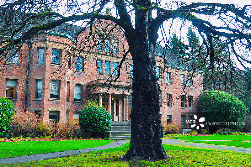 华盛顿大学一隅图片素材