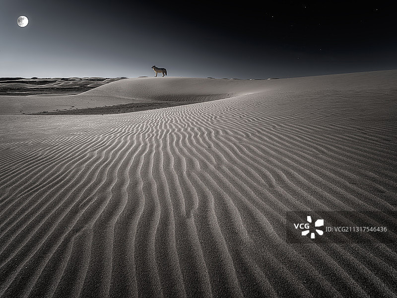 沙漠夜色图片素材