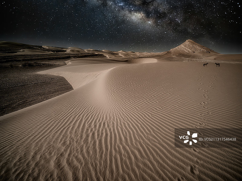 沙漠夜色图片素材