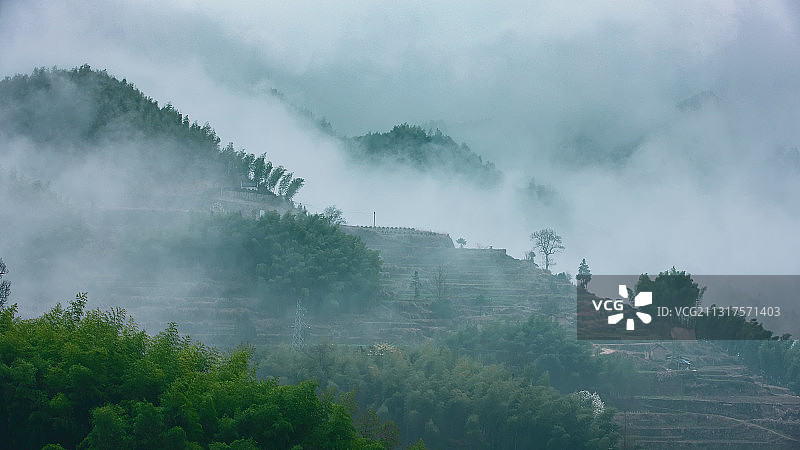 武义大莱梯田里的浓雾图片素材