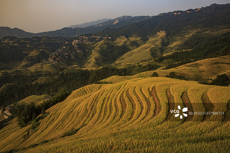 1E8A5378-广西桂林龙胜大寨金坑梯田金秋清晨日出时分2图片素材