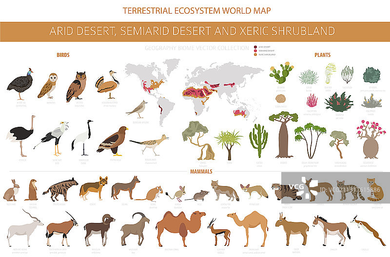 沙漠生物群落旱生灌木地自然区域图片素材