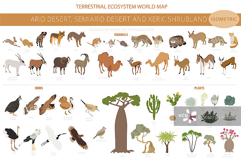 沙漠生物群落灌木丛自然景观图片素材