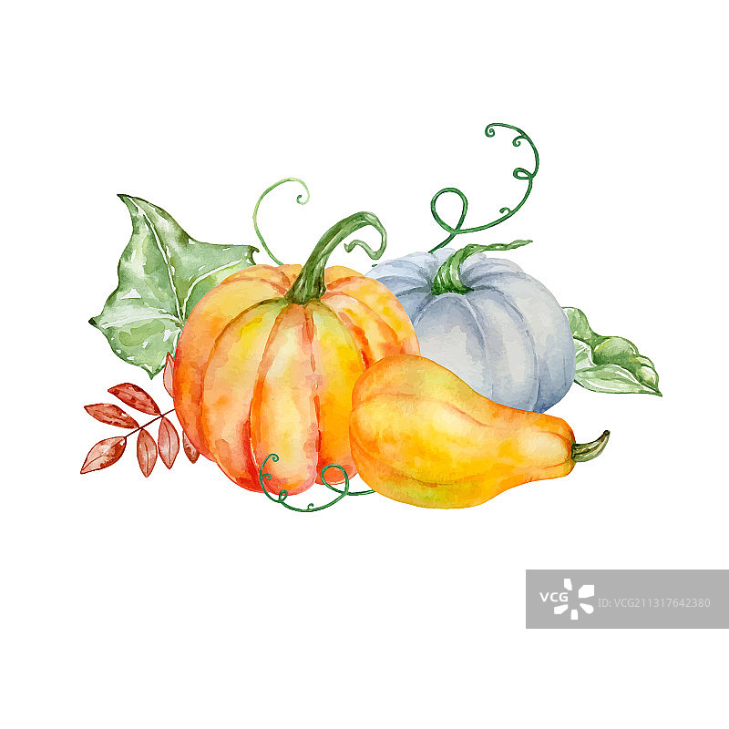 水彩秋季南瓜组合图片素材