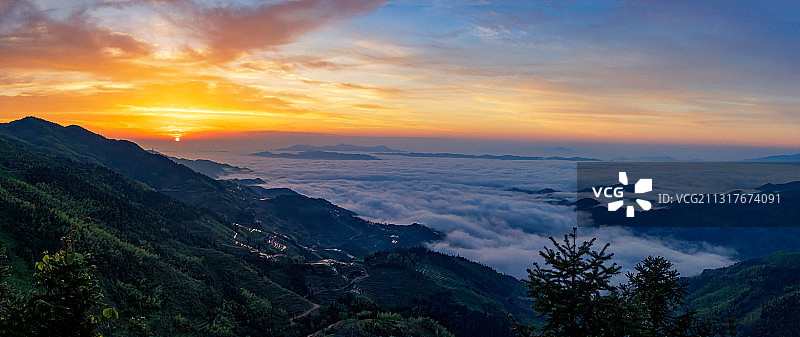 紫鹊界梯田图片素材