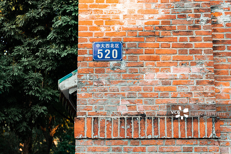 春天清晨中山大学的校园风光图片素材