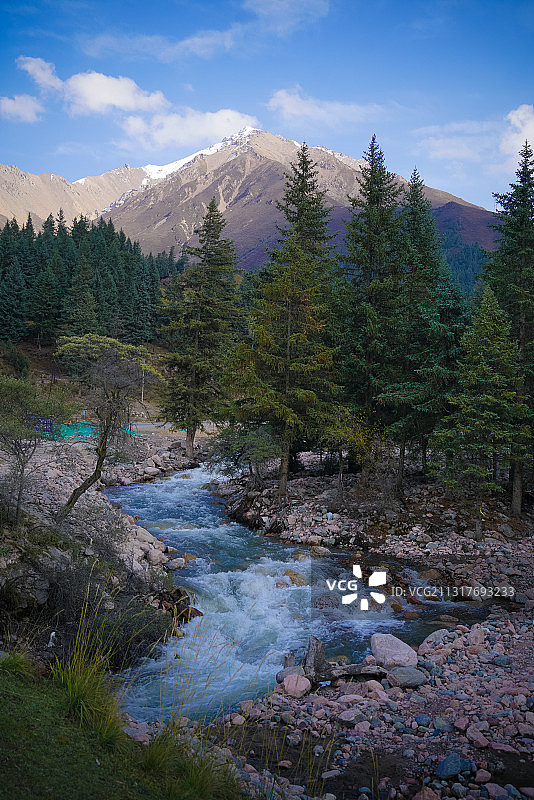 祁连冰沟林海图片素材
