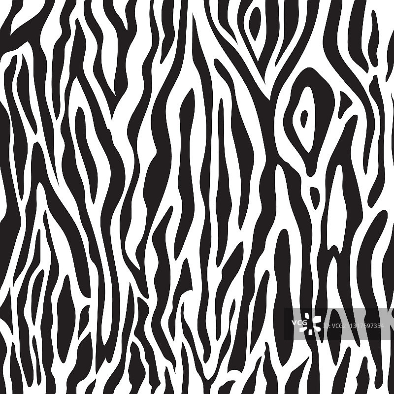 抽象条纹黑白斑马纹图片素材