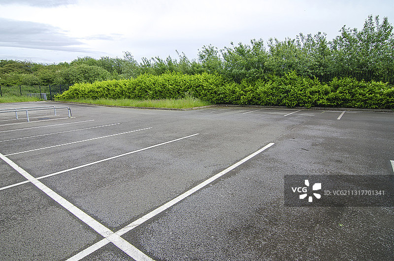 空旷的停车场与翠绿的树叶图片素材