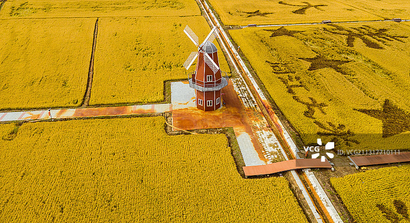 航拍黑龙江省同江市三江口稻田中的风车图片素材
