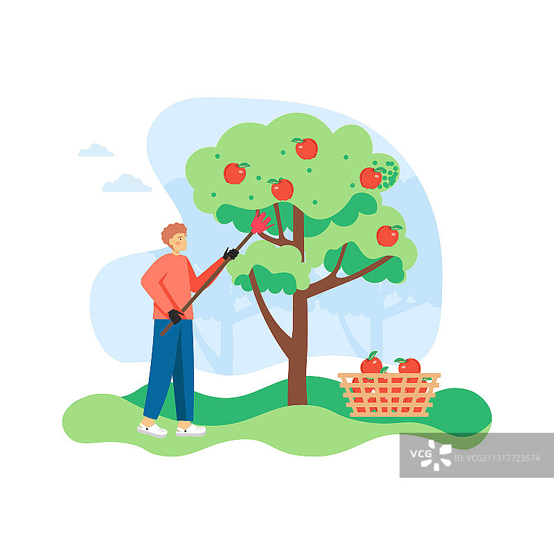 年轻园丁从苹果树上采摘苹果图片素材