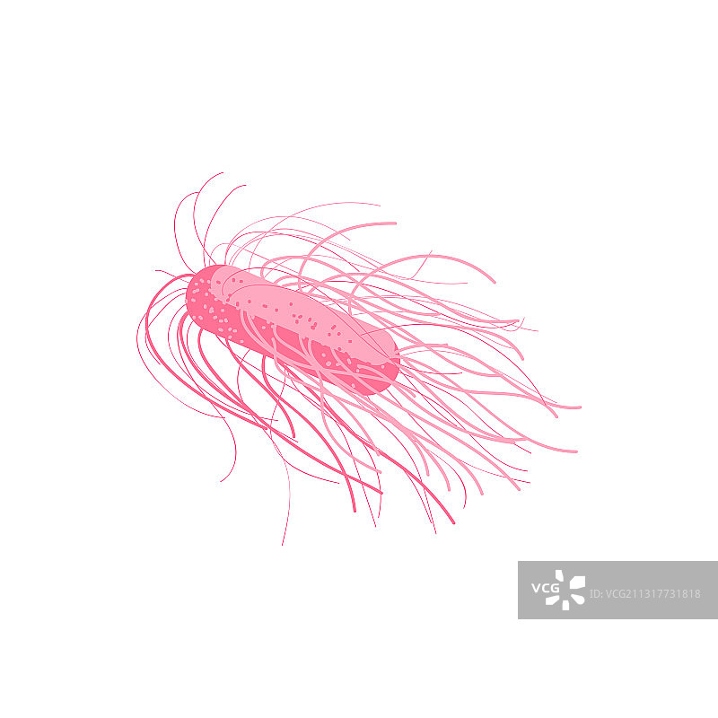 病原体鞭毛细菌微生物图片素材