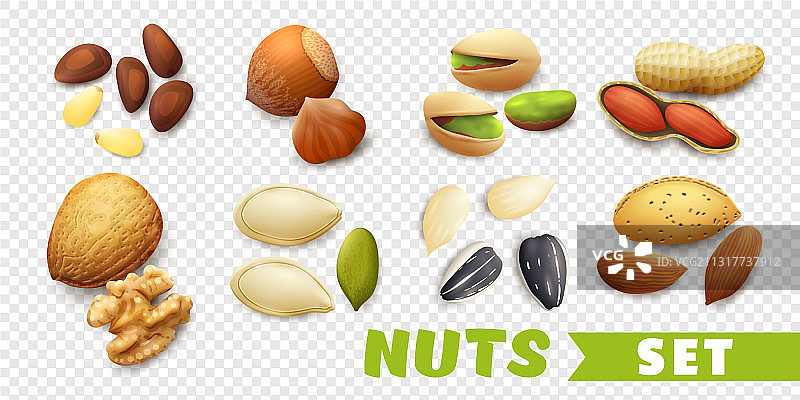 逼真坚果套装图片素材