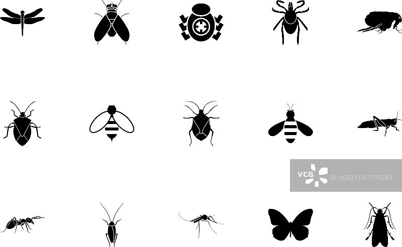 黑色昆虫合集实体风格图像图片素材