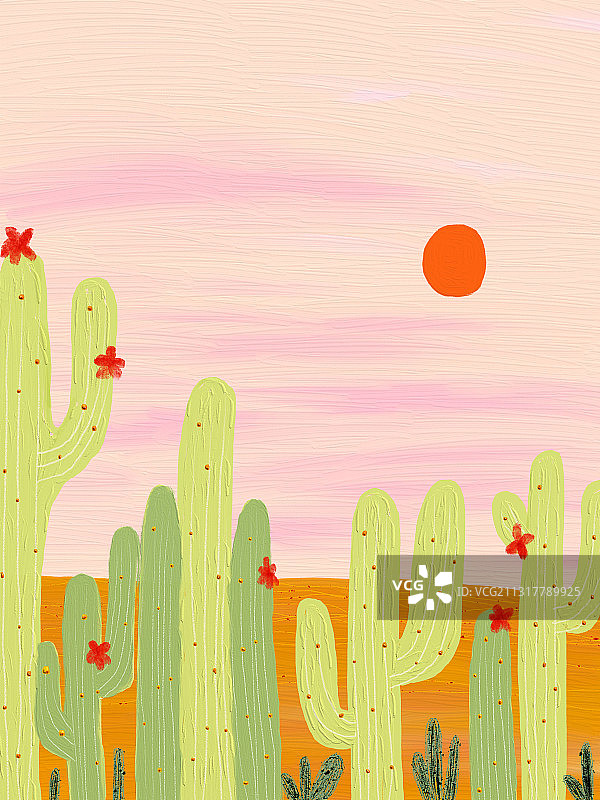 风景仙人掌图片素材