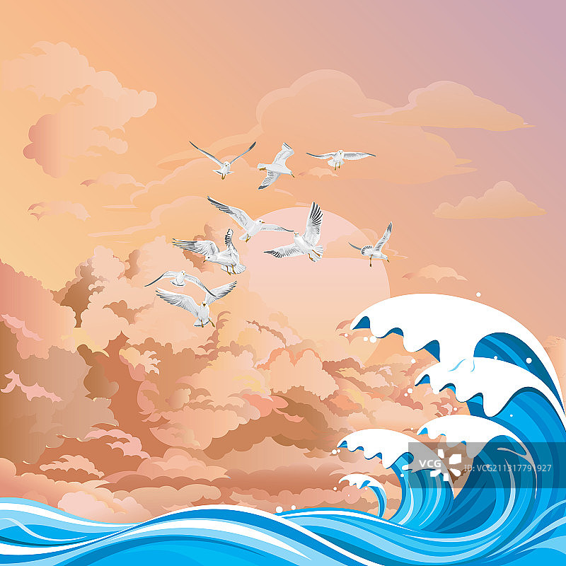 黎明时分海洋上的海鸥图片素材