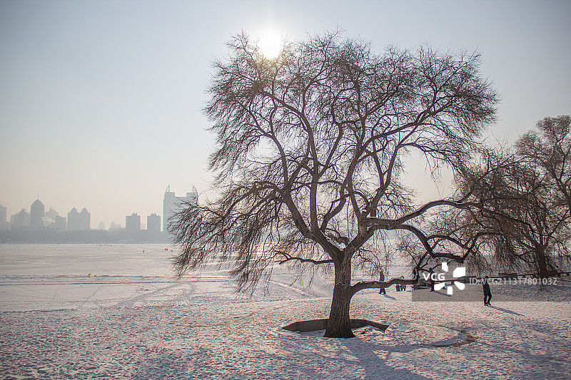 黑龙江 哈尔滨 太阳岛图片素材