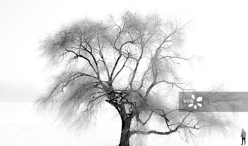 黑龙江 哈尔滨 太阳岛图片素材