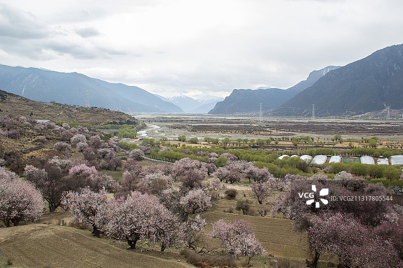 西藏 林芝 贡嘎村图片素材
