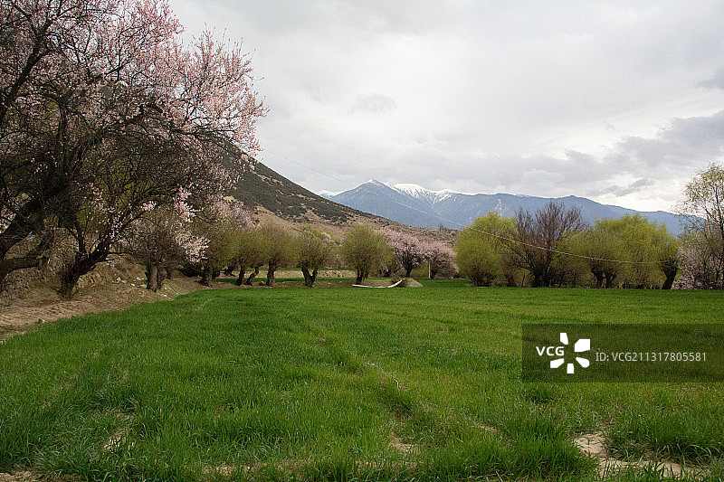 西藏 林芝 贡嘎村图片素材