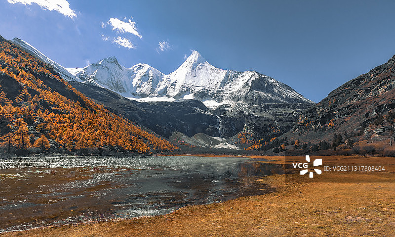 夏诺多吉图片素材