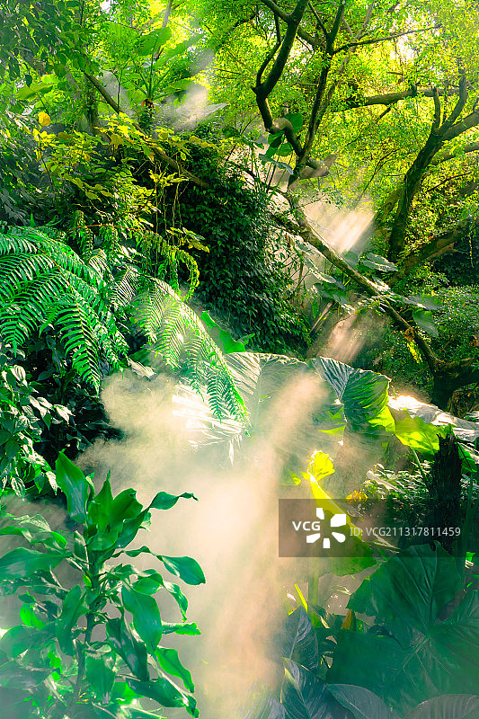 林间春色图片素材