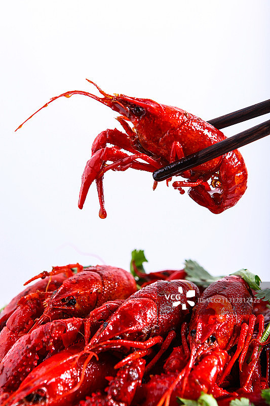 麻辣小龙虾图片素材