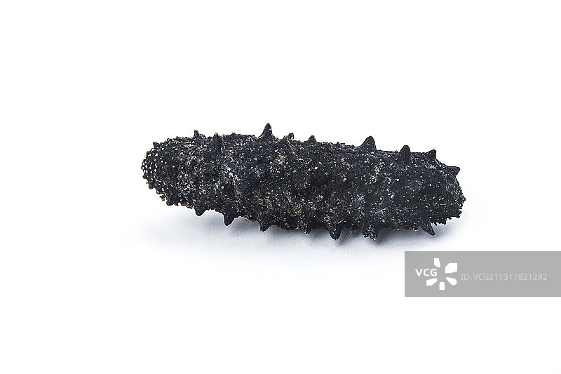 干刺参图片素材