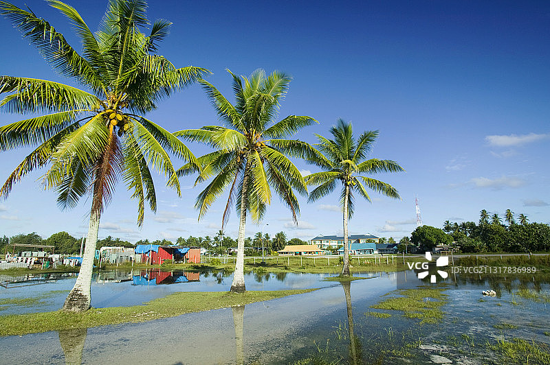 受海水入侵影响，图瓦卢主岛富纳富提环礁在高潮时被淹没。全球变暖导致的海平面上升威胁着这些低洼岛屿的未来。图片素材