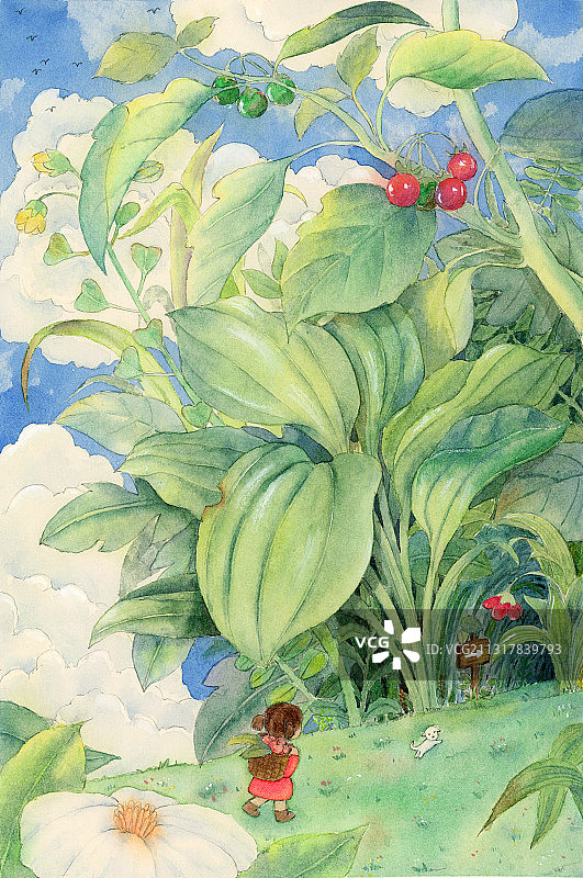 摘果果图片素材