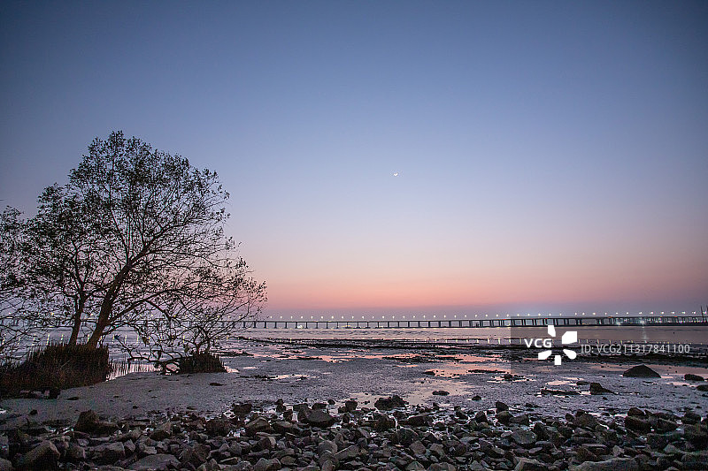 日落后的西湾红树林图片素材