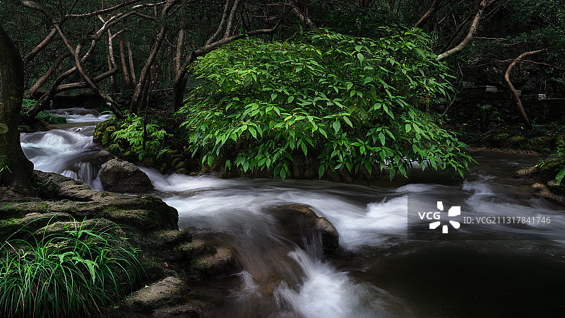 贵州黔东南小七孔丛林流水图片素材