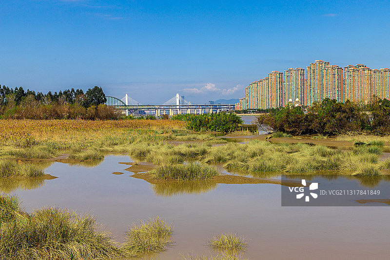 滨江湿地图片素材