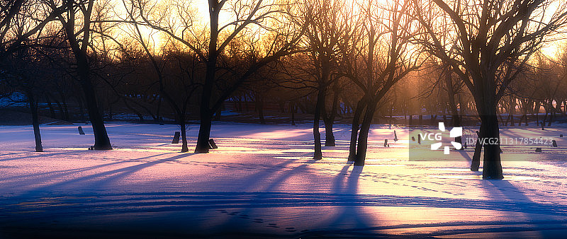 寒冷的冬日早晨，一缕阳光透过树梢，给人以暖意图片素材