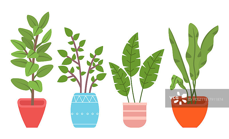 常绿盆栽植物，生态风格图片素材