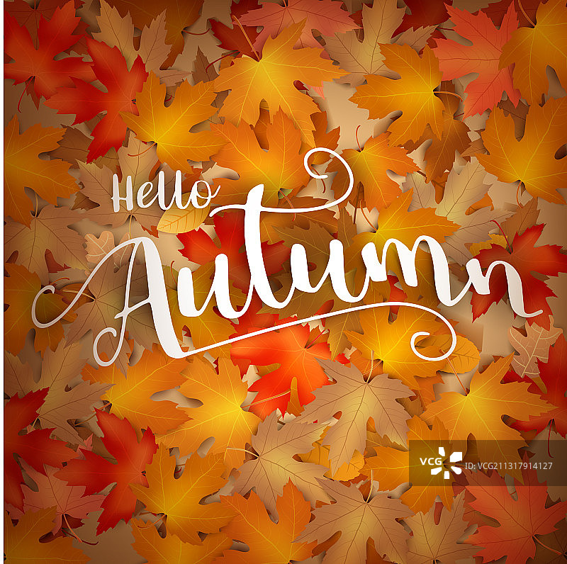 落叶秋季背景图片素材