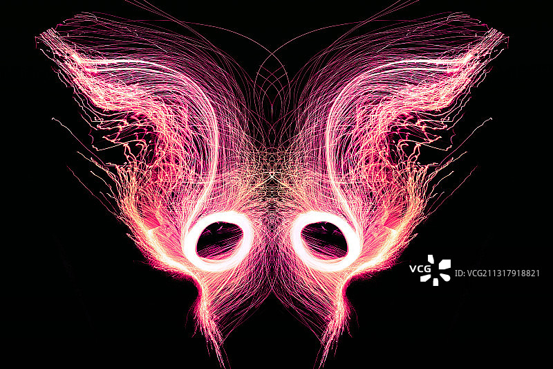 钢丝绵光辉蝴蝶图片素材