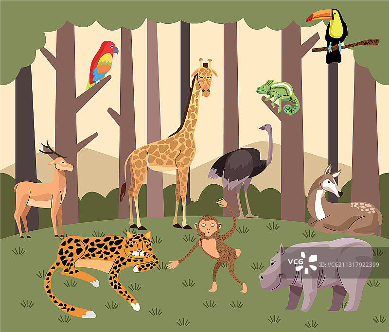 森林场景中的野生动物群图片素材