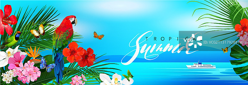 蝴蝶鲜花热带风情banner图片素材