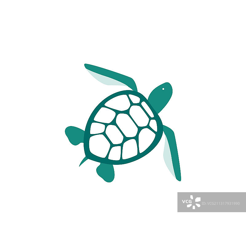 蓝色海龟扁平图标或符号图片素材